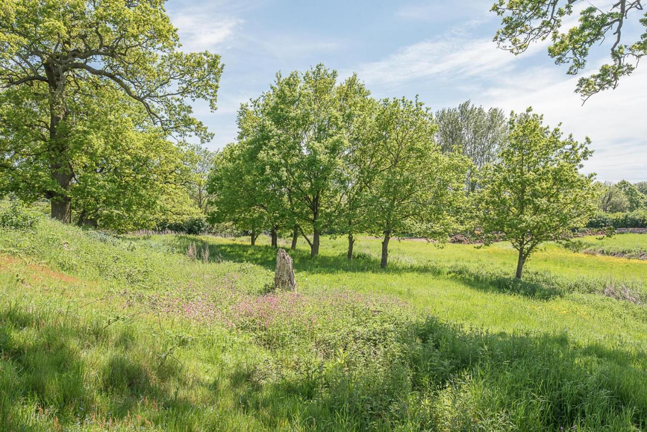 Chapel Cottage At Pond Hall Farm, Stunnning Property With Private Hot Tub, Hadleigh 伊普斯威奇 外观 照片